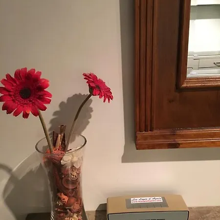 Les Logis D'agnès Appartement Honfleur
